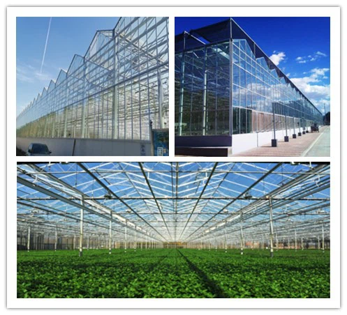 product-497-452